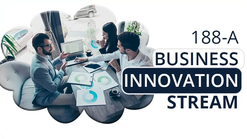 A. Business Innovation Stream (subclass 188A)